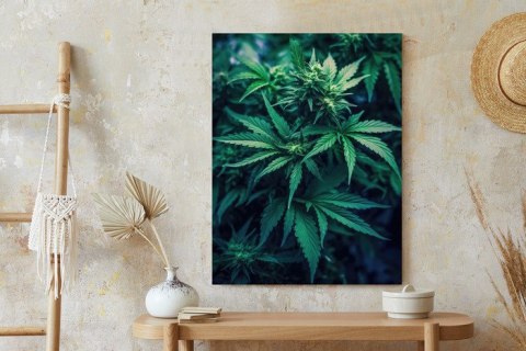 Plakat Zielona Konopia Z Bliska