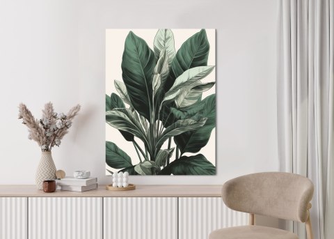 Plakat Zielona Roślina Filodendron