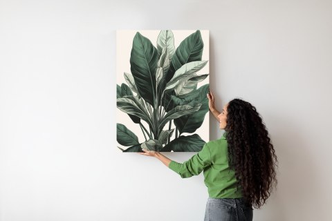 Plakat Zielona Roślina Filodendron