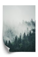 Plakat Zielone Drzewa Iglaste Na Górskich Wzgórzach We Mgle