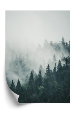 Plakat Zielone Drzewa Iglaste Na Górskich Wzgórzach We Mgle