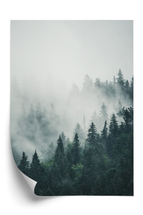 Plakat Zielone Drzewa Iglaste Na Górskich Wzgórzach We Mgle