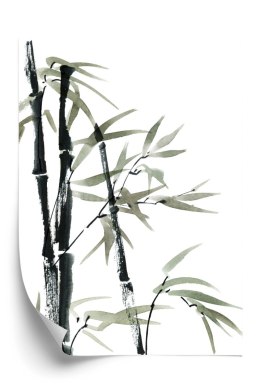 Plakat Akwarela Bambusa I Liści