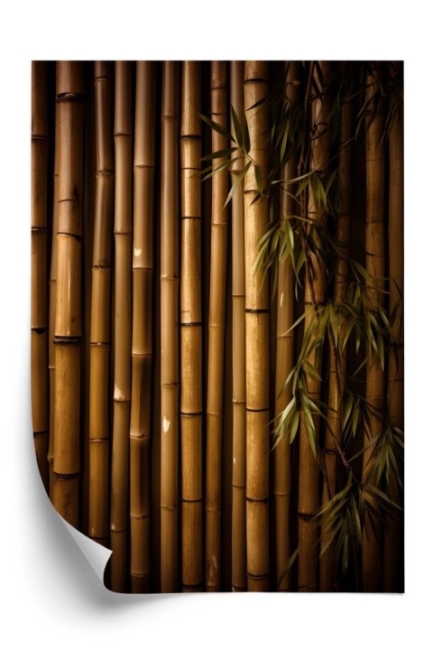 Plakat Bambusowa Ściana