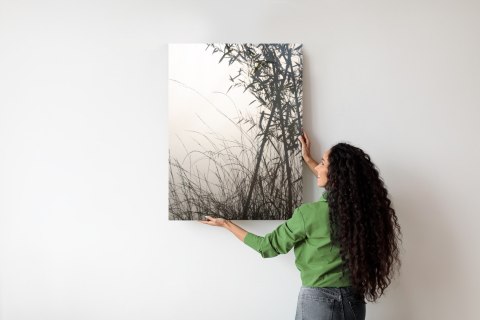 Plakat Bambusy I Trawy Przy Jeziorze