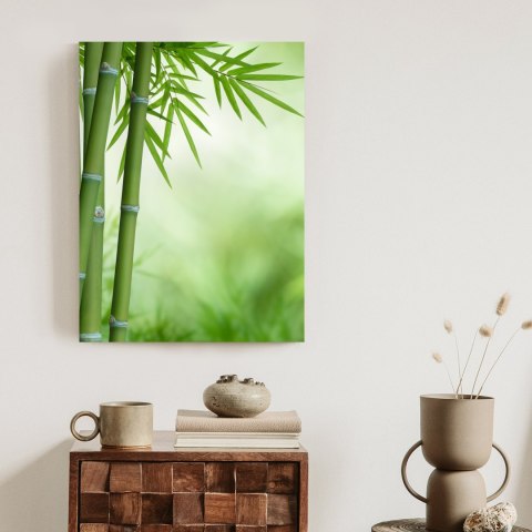 Plakat Bambusy Na Botanicznym Tle