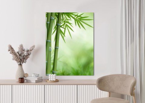 Plakat Bambusy Na Botanicznym Tle