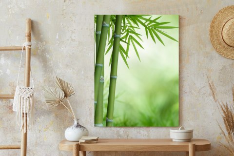 Plakat Bambusy Na Botanicznym Tle