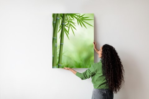 Plakat Bambusy Na Botanicznym Tle