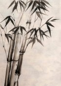 Plakat Bambusy Na Starym Papierze