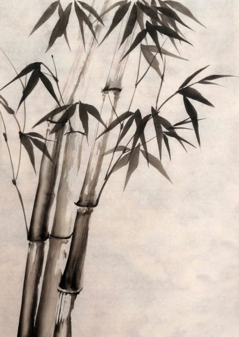 Plakat Bambusy Na Starym Papierze