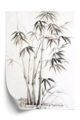 Plakat Brązowy Bambus