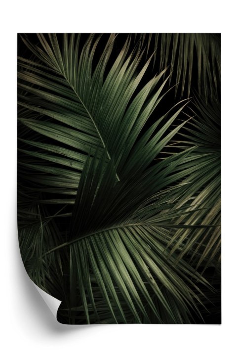 Plakat Ciemne Duże Liście Palmy