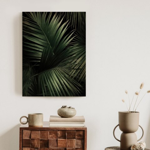 Plakat Ciemne Duże Liście Palmy