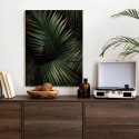 Plakat Ciemne Duże Liście Palmy