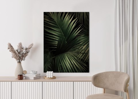 Plakat Ciemne Duże Liście Palmy