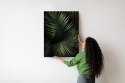 Plakat Ciemne Duże Liście Palmy