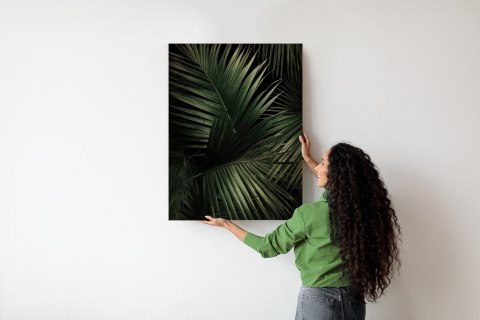 Plakat Ciemne Duże Liście Palmy