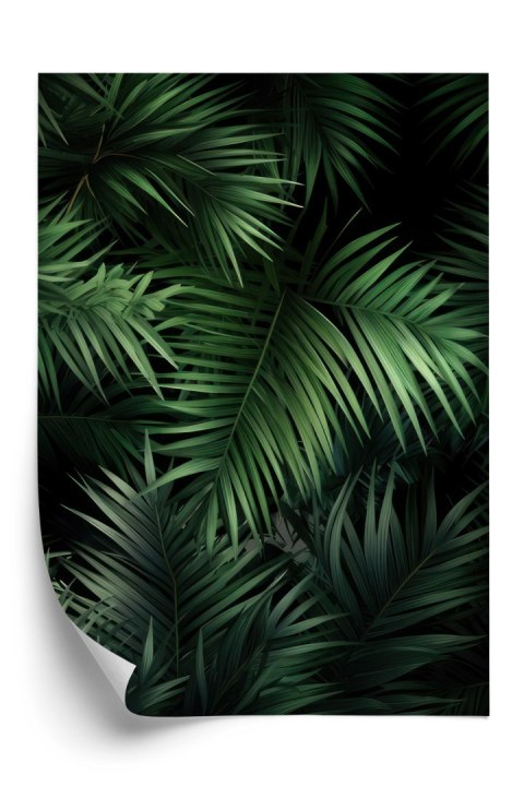 Plakat Ciemne Liście Bambusowe
