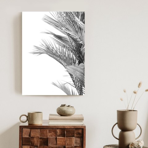 Plakat Czarno-Białe Liście Palmowe
