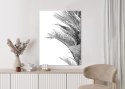Plakat Czarno-Białe Liście Palmowe