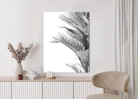 Plakat Czarno-Białe Liście Palmowe