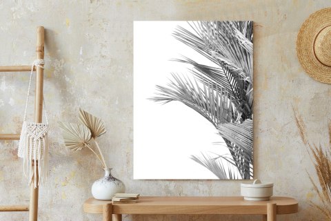 Plakat Czarno-Białe Liście Palmowe