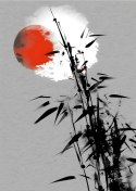 Plakat Czarny Bambus I Czerwone Słońce