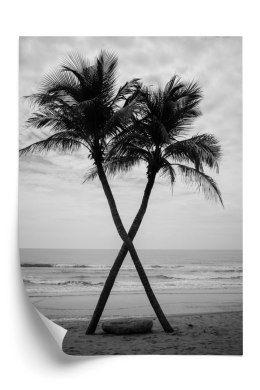 Plakat Dwie Palmy Kokosowe I Morze
