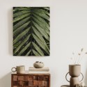 Plakat Egzotyczne Liście Palmowe
