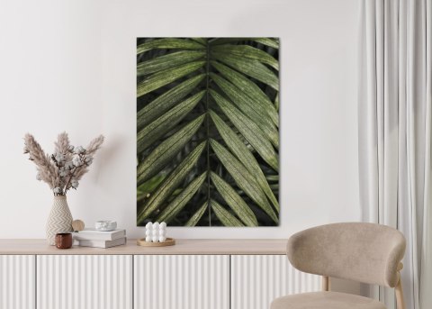 Plakat Egzotyczne Liście Palmowe