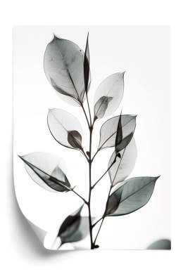 Plakat Gałązka Z Szarymi Liśćmi Na Jansym Tle