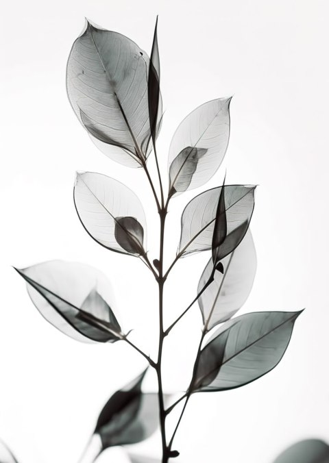 Plakat Gałązka Z Szarymi Liśćmi Na Jansym Tle