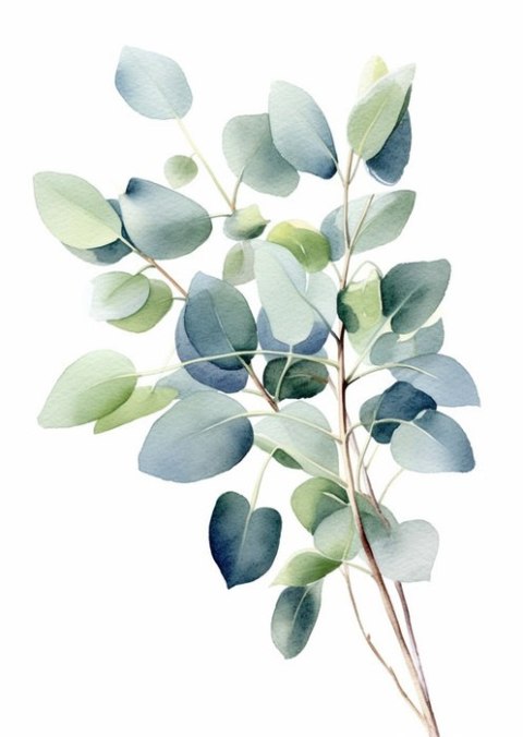 Plakat Gałązka Z Zielonymi Liśćmi - Akwarela