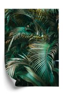 Plakat Gęste Liście Palmowe Palmy