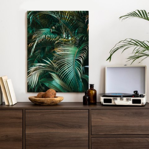 Plakat Gęste Liście Palmowe Palmy