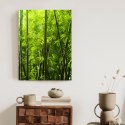 Plakat Gęsty Las Bambusowy