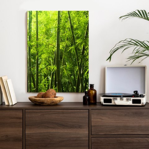 Plakat Gęsty Las Bambusowy