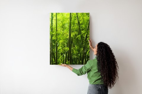 Plakat Gęsty Las Bambusowy