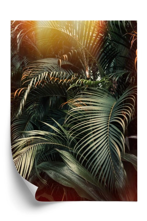 Plakat Głęboki Ciemny Las Palmowy Z Przebijającym Się Słońcem