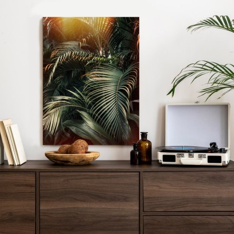 Plakat Głęboki Ciemny Las Palmowy Z Przebijającym Się Słońcem