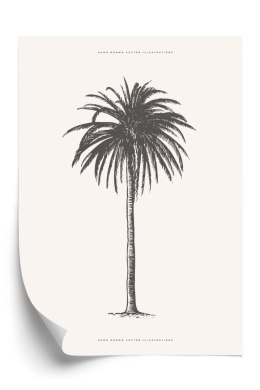 Plakat Ilustracja Szarej Palmy Vintage