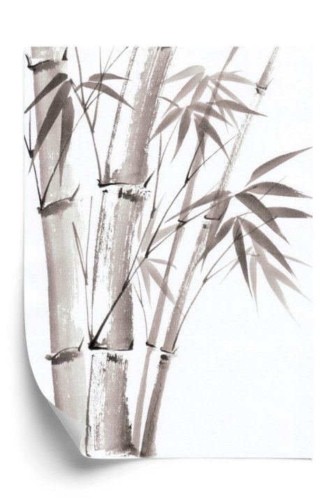 Plakat Jasne Pastelowe Bambusy