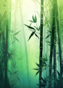 Plakat Las Bambusowy W Słońcu