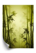 Plakat Las Bambusowy We Mgle