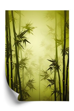 Plakat Las Bambusowy We Mgle