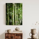 Plakat Las Bambusowy Z Bliska