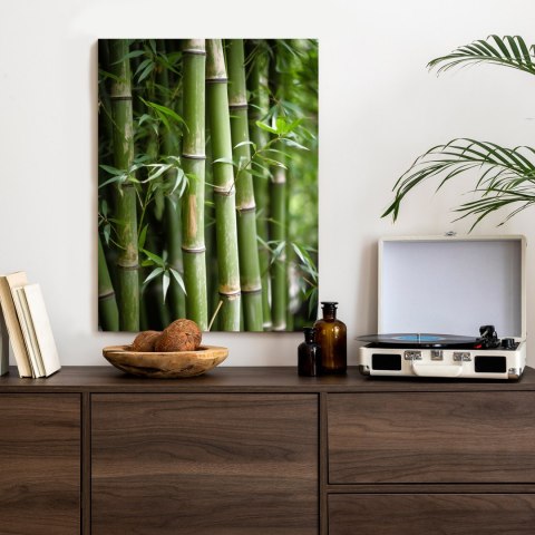 Plakat Las Bambusowy Z Bliska