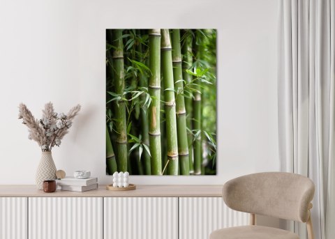 Plakat Las Bambusowy Z Bliska