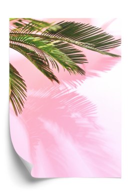Plakat Letnia Palma Przy Różowej Ścianie